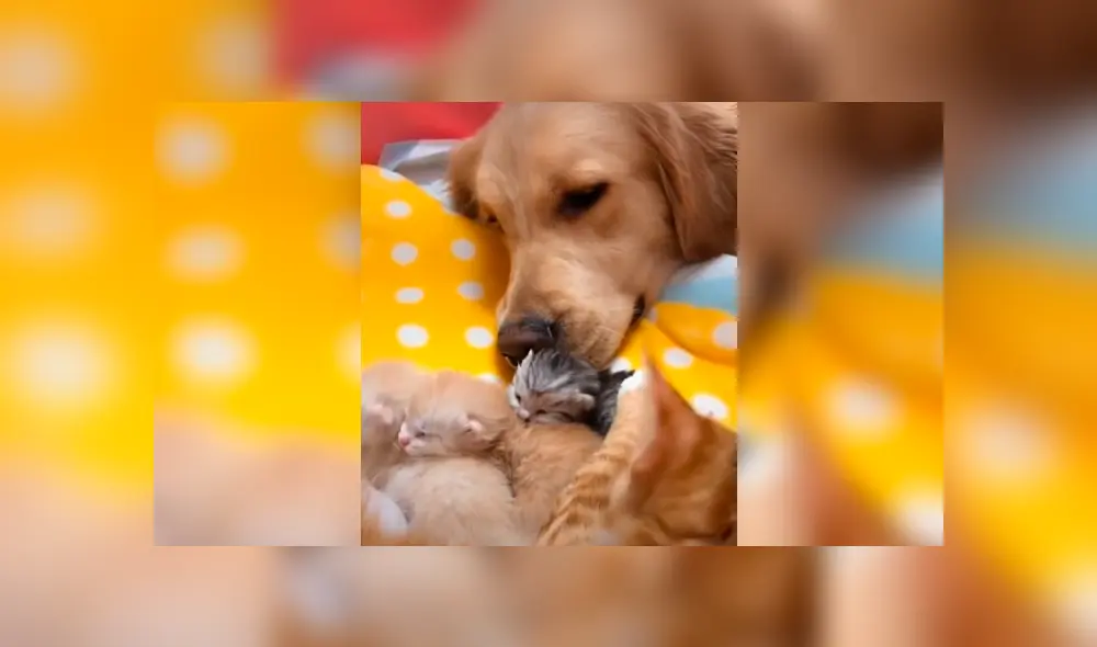 Desliza la imagen de Facebook para ver todas las imágenes. Desliza la imagen de Facebook para ver todas las imágenes.