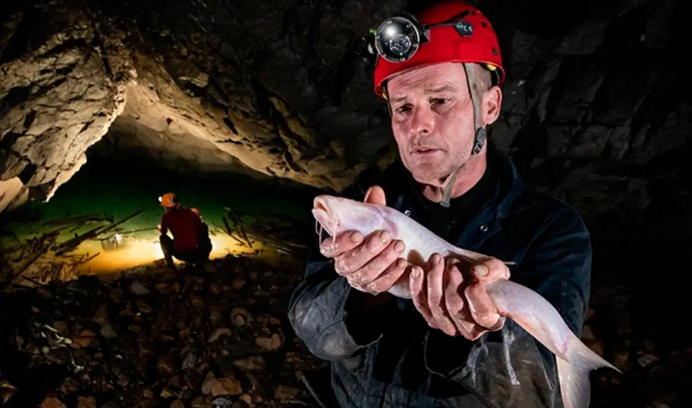 El biólogo Daniel Harries de la Universidad Heriot-Watt de Escocia, coautor del estudio de esta nueva especie. (Foto: Robbie Shone/ National Geographic) El biólogo Daniel Harries de la Universidad Heriot-Watt de Escocia, coautor del estudio de esta nueva especie. (Foto: Robbie Shone/ National Geographic)