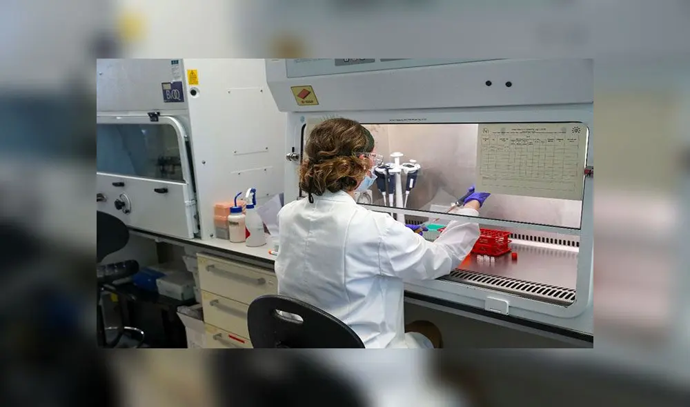 La vacuna de Oxford contra el coronavirus es una de las más avanzadas en el mundo. México y Argentina serán los encargados de producirla y distribuirla en América Latina. Foto: AFP