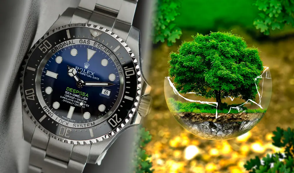Rolex es propiedad de una fundación privada, opera de manera independiente. Foto: composición LR/Pixabay Rolex es propiedad de una fundación privada, opera de manera independiente. Foto: composición LR/Pixabay