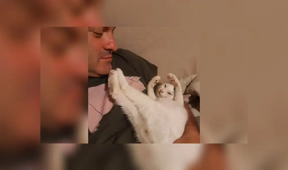 La pareja asegura que sus gatos le salvaron la vida. Foto: Difusión La pareja asegura que sus gatos le salvaron la vida. Foto: Difusión