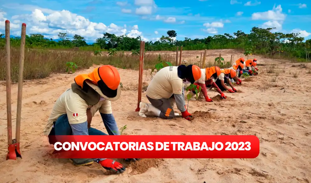 Convocatorias de trabajo 2023: postula al Sernanp en hasta 6 regiones. Foto: composición LR/Sernanp Convocatorias de trabajo 2023: postula al Sernanp en hasta 6 regiones. Foto: composición LR/Sernanp