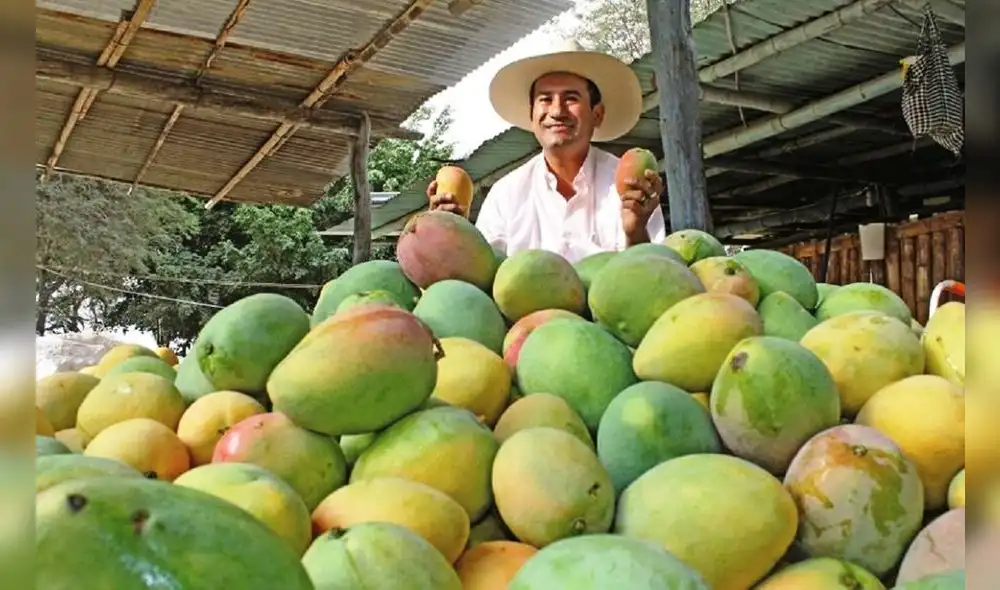 Certificación orgánica