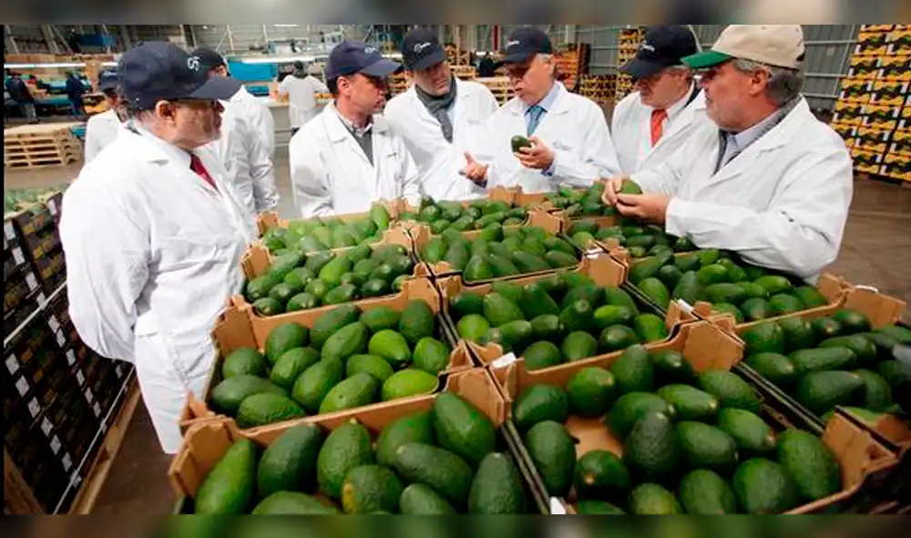 BID: Perú entre los países que más exportó a China