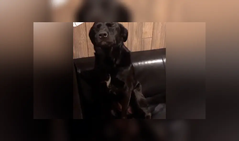 Desliza para ver los momentos más divertidos del video que se hizo viral en Facebook. Desliza para ver los momentos más divertidos del video que se hizo viral en Facebook.