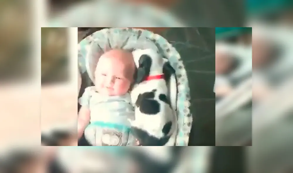 El curioso episodio quedó registrado por la mamá del bebé, quien no dudó en compartir las imágenes en Facebook y otras redes El curioso episodio quedó registrado por la mamá del bebé, quien no dudó en compartir las imágenes en Facebook y otras redes