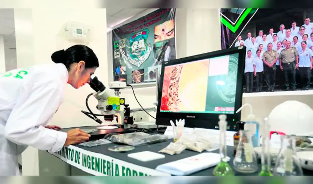 Criminalistas en acción: la ciencia al servicio de la verdad y la justicia