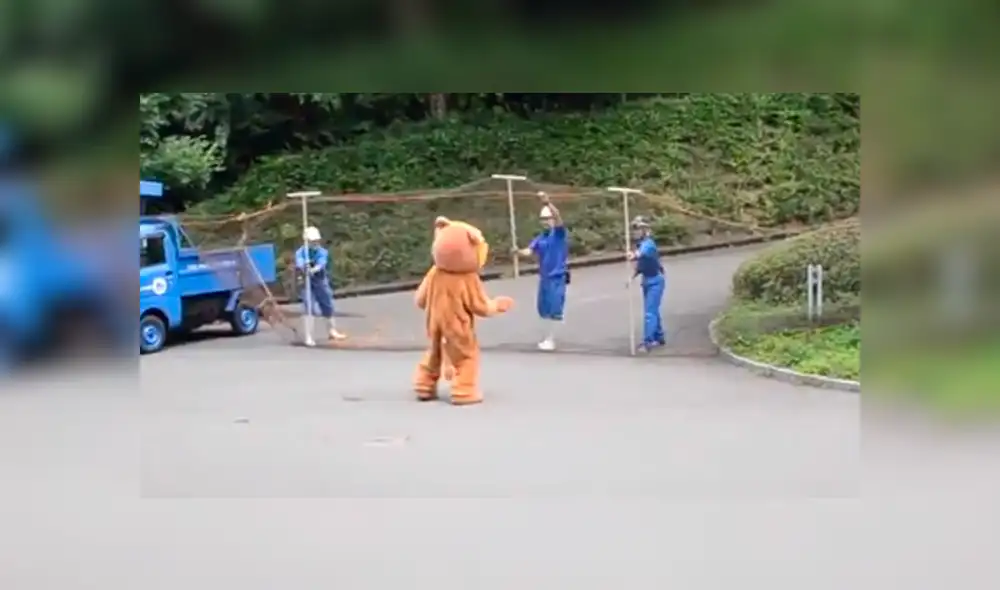 Trabajador de un zoológico ingresó al santuario de leones. Trabajador de un zoológico ingresó al santuario de leones.