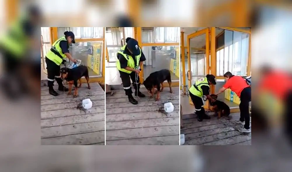 Facebook viral: sereno peruana echa agua a perro sofocado por calor extremo [VIDEO]