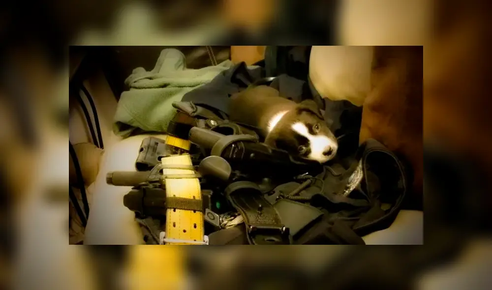 Desliza para ver las fotos que conmovieron a miles en Facebook. Foto: Captura.