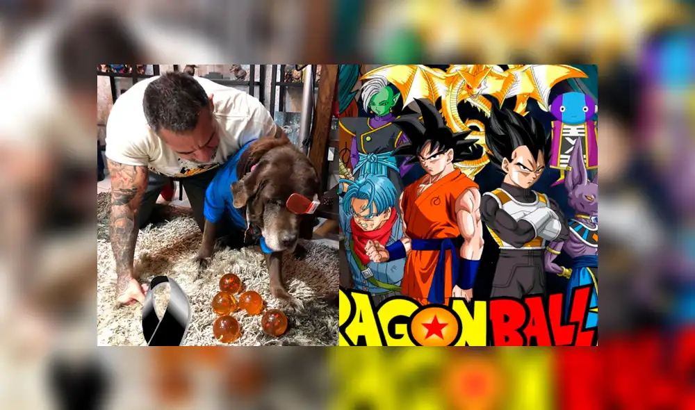 Facebook viral: fan de Dragon Ball Super se despide de su mascota con emotivo mensaje