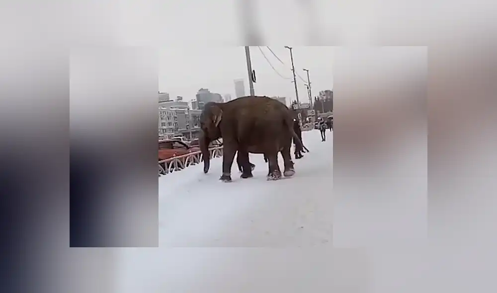 Desliza para ver los momentos más sorprendentes del video que se hizo viral en YouTube. Desliza para ver los momentos más sorprendentes del video que se hizo viral en YouTube.