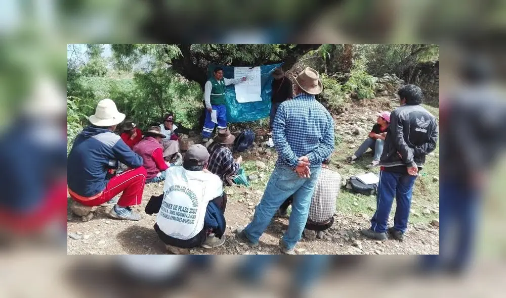 Con escuelas de campo buscan mejorar producción de quinua y haba en Puno. Con escuelas de campo buscan mejorar producción de quinua y haba en Puno.