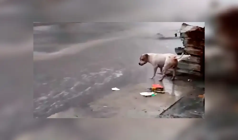 Desliza para ver detalles de este video viral de YouTube. Foto: Captura.