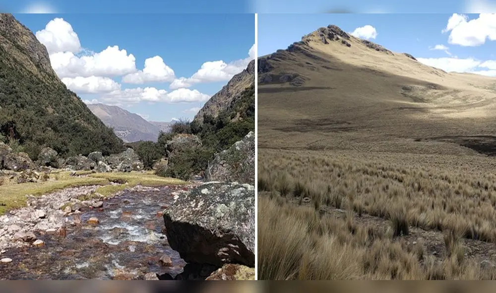 Cusco cuenta con dos nuevas Áreas de Conservación Privada. Fotos: Conservación Amazónica - ACCA