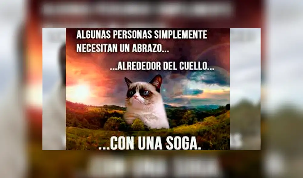 Facebook viral: miles lloran a Grumpy Cat, la gata más famosa del Internet, que acaba de morir [FOTOS]