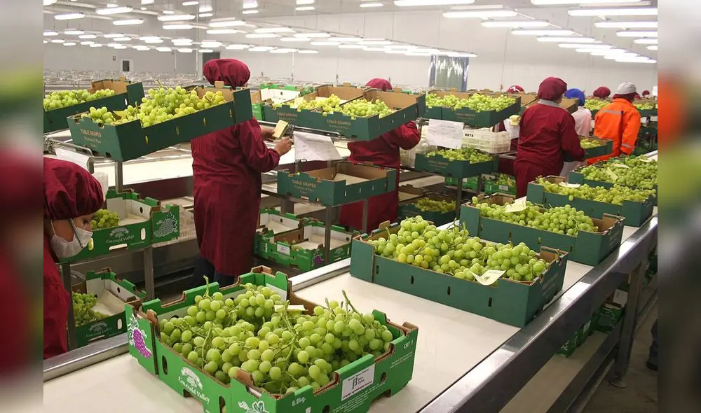 Agroexportaciones. Agroexportaciones.