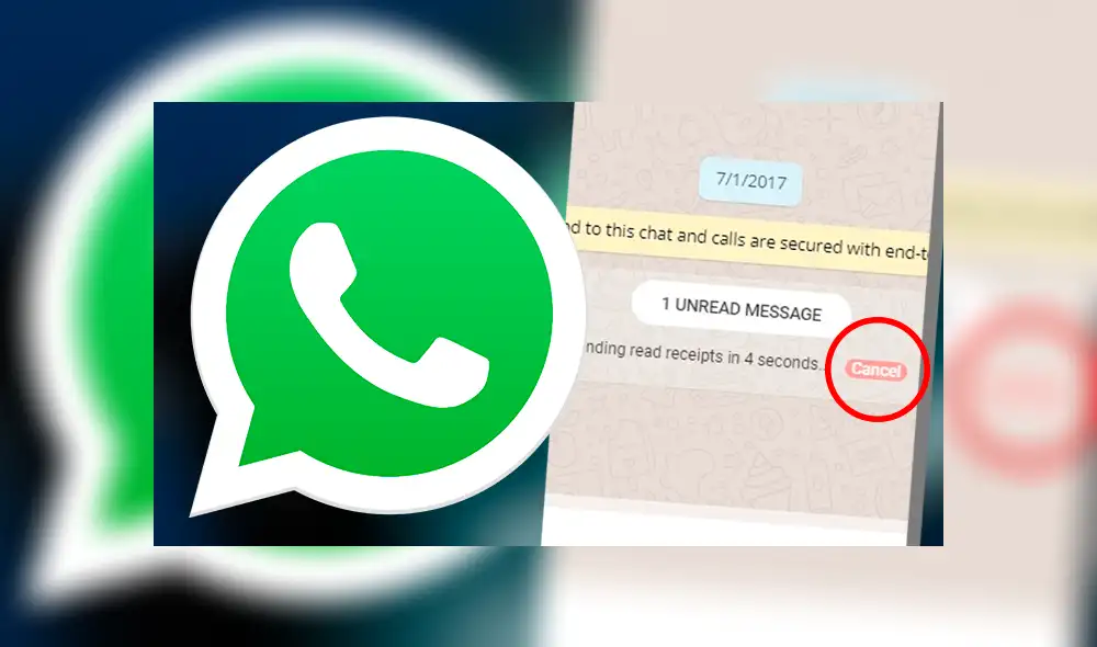 Con este truco podrás seguir conectado en WhatsApp sin mostrar el estado de 'en línea' ni mostrar los 'check' azules, todo sin desactivar ambas opciones de la aplicación. Imagen: WhatsApp/Google Play Store.