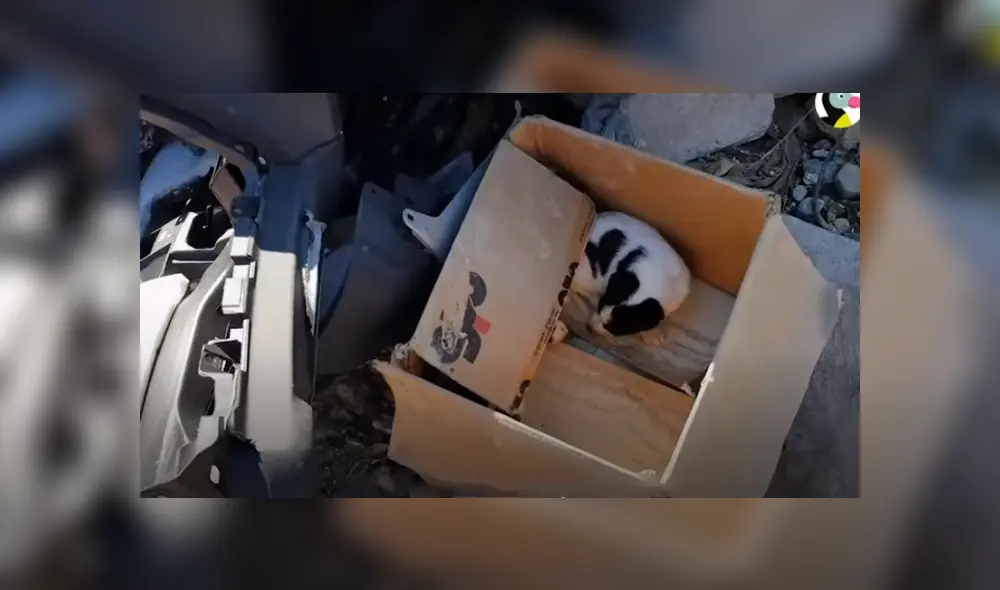 Desliza hacia la izquierda para ver las imágenes del viral de YouTube.