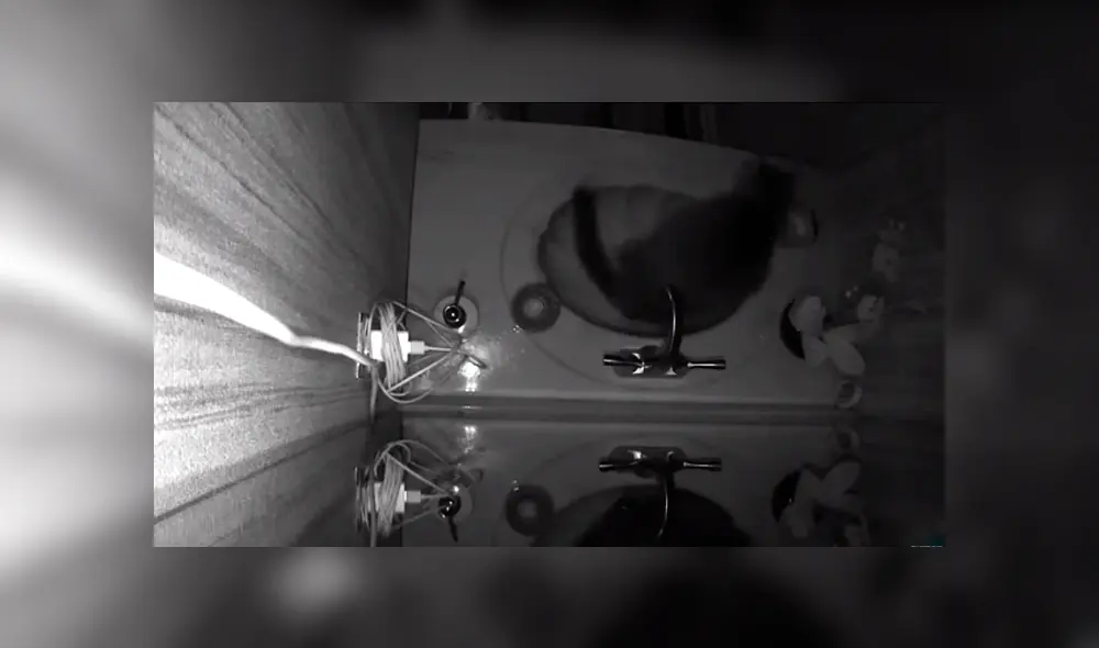 Desliza hacia la izquierda para descubrir lo que hacía un gato que se ha vuelto viral en YouTube.