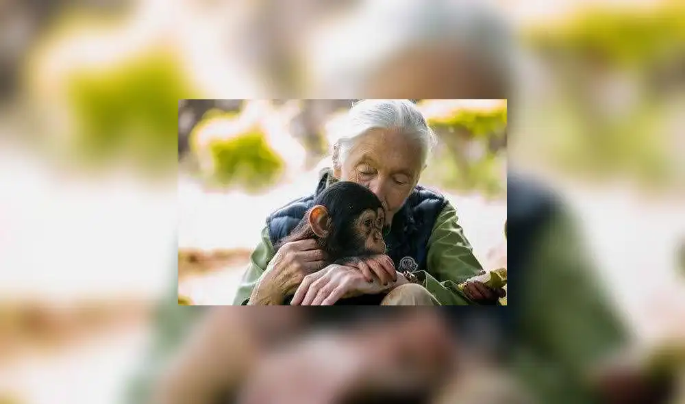 Jane Goodall de 86 años destacó que era "hora de aprender de nuestros errores y evitar nuevas catástrofes". Foto: Time