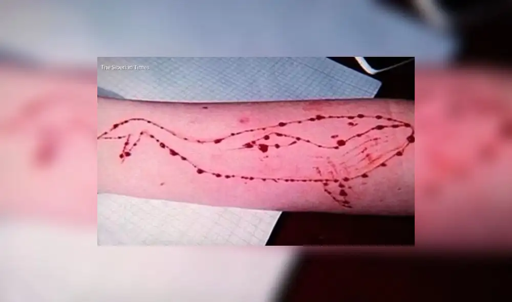 Facebook: Alerta por la ‘ballena azul’, el peligroso reto que termina en suicidio [VIDEO]