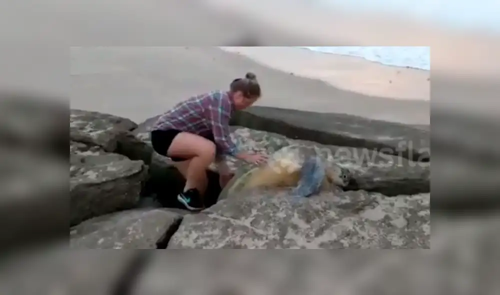 Jóvenes encuentran misteriosa criatura atrapada entre las rocas.