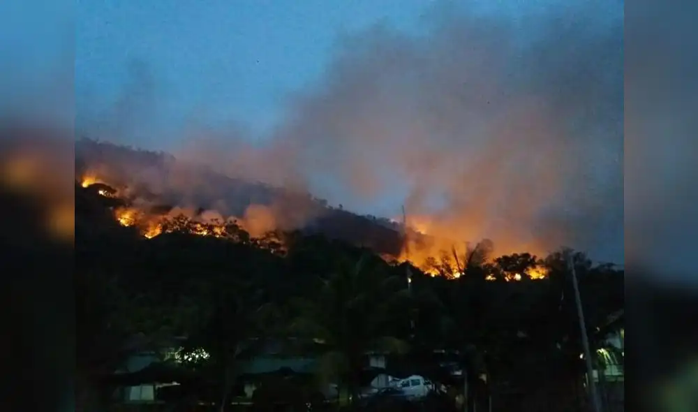 VRAEM: incendio forestal arrasa con veinte hectáreas de bosque