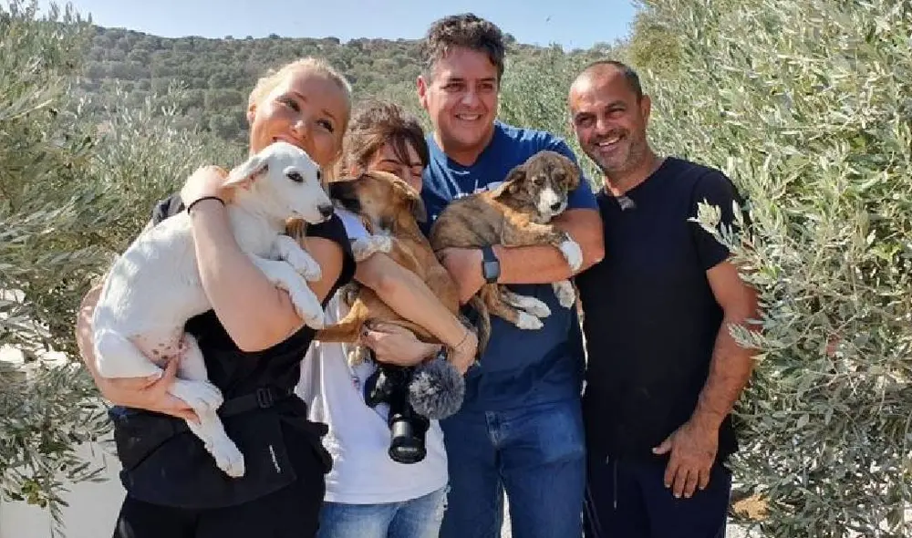 Los cachorros fueron rescatados por voluntarios griegos. Foto: Captura/Takis Shelter