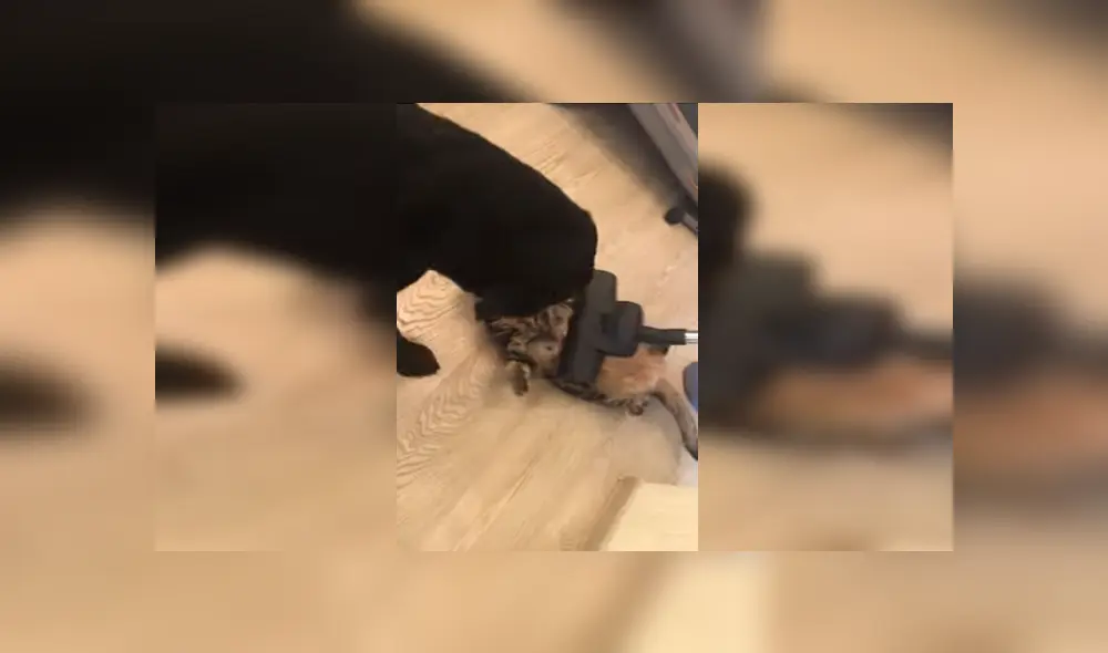 Desliza para ver los detalles del video viral publicado en YouTube. Foto: Captura. Desliza para ver los detalles del video viral publicado en YouTube. Foto: Captura.