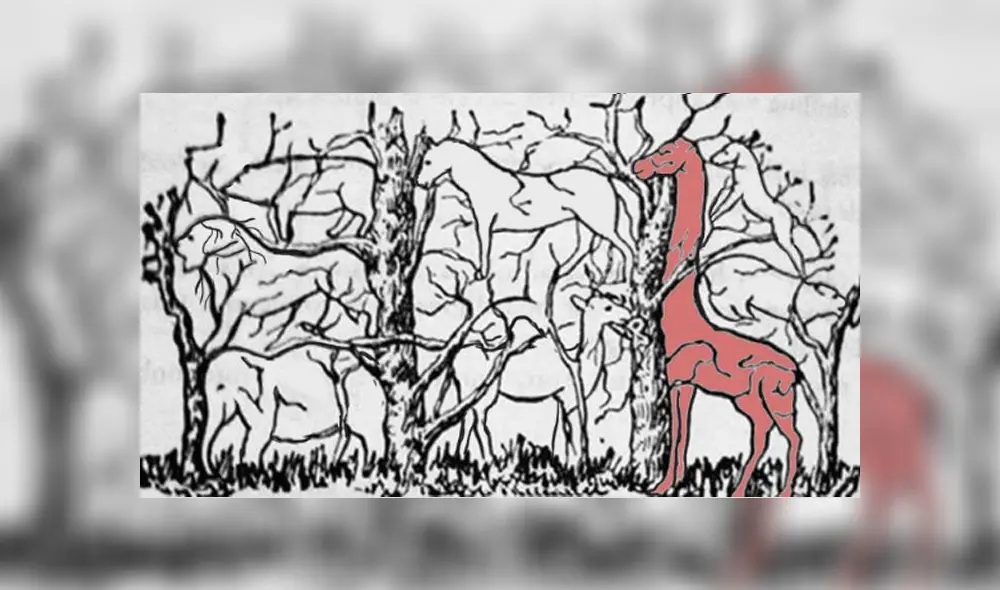 Desliza las imágenes para ver todas las respuestas de este complejo reto visual que intenta determinar el tipo de personalidad que tienes'. Foto: Facebook Desliza las imágenes para ver todas las respuestas de este complejo reto visual que intenta determinar el tipo de personalidad que tienes'. Foto: Facebook