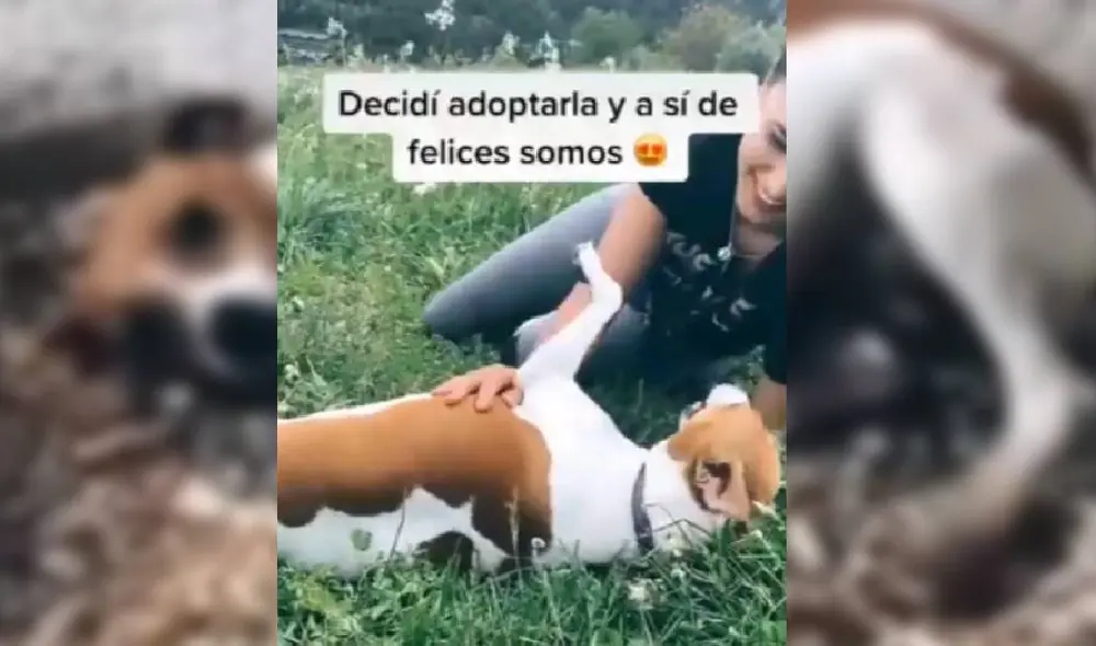Las imágenes muestran la lamentable condición en que se encontraba 'Maggie'. Foto: Captura/TikTok/@yrinabaquero