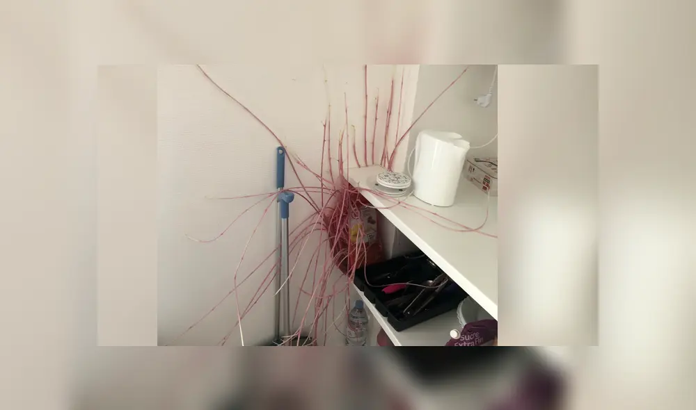 Desliza la imagen de Facebook para verlas todas. Foto: donna9p/Twitter