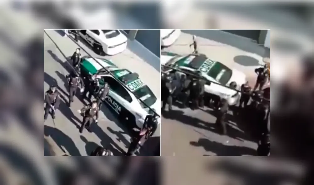 El propietario del animal fue puesto a disposición del Ministerio Público. (Foto: Captura) El propietario del animal fue puesto a disposición del Ministerio Público. (Foto: Captura)