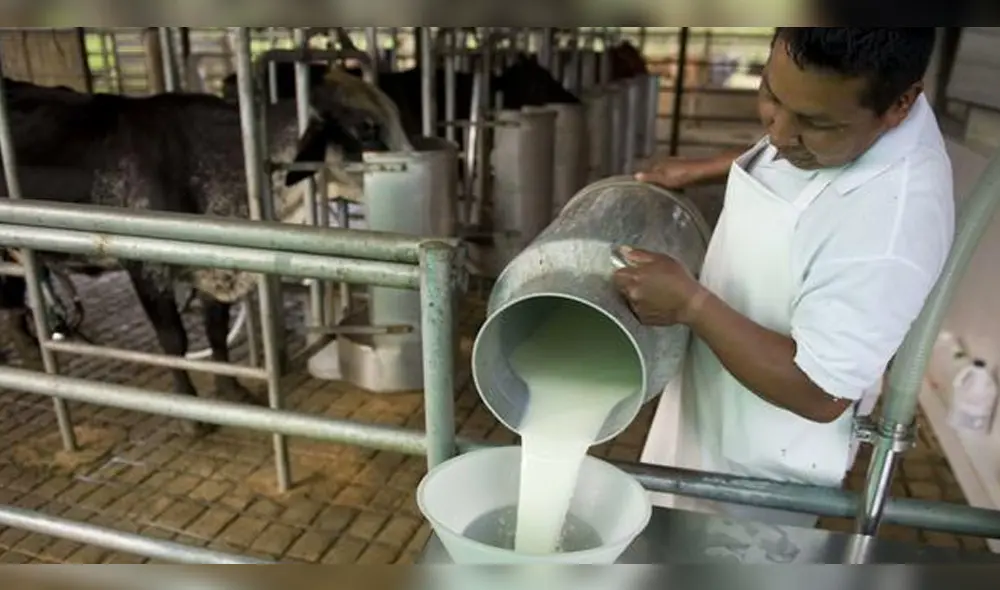Polémica por proyecto del Congreso sobre la leche