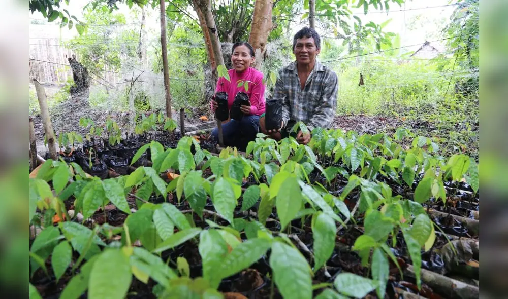 Sector busca generar emprendimientos rurales para lograr la Salida Permanente de la Pobreza. Sector busca generar emprendimientos rurales para lograr la Salida Permanente de la Pobreza.