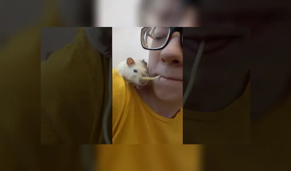 Desliza para ver el desenlace de este video viral publicado en YouTube. Foto: Captura. Desliza para ver el desenlace de este video viral publicado en YouTube. Foto: Captura.