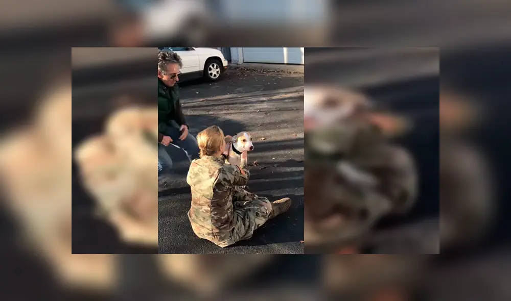 El can no reconocía a su dueña al verla después de tiempo, pero su conducta cambió cuando tuvo contacto con ella. El emotivo reencuentro se hizo viral en YouTube. El can no reconocía a su dueña al verla después de tiempo, pero su conducta cambió cuando tuvo contacto con ella. El emotivo reencuentro se hizo viral en YouTube.