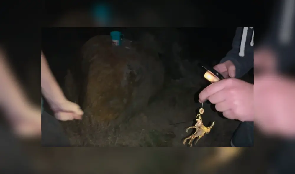 Una transmisión en vivo en Facebook muestra a la letal criatura que caminó sobre el brazo de un joven.