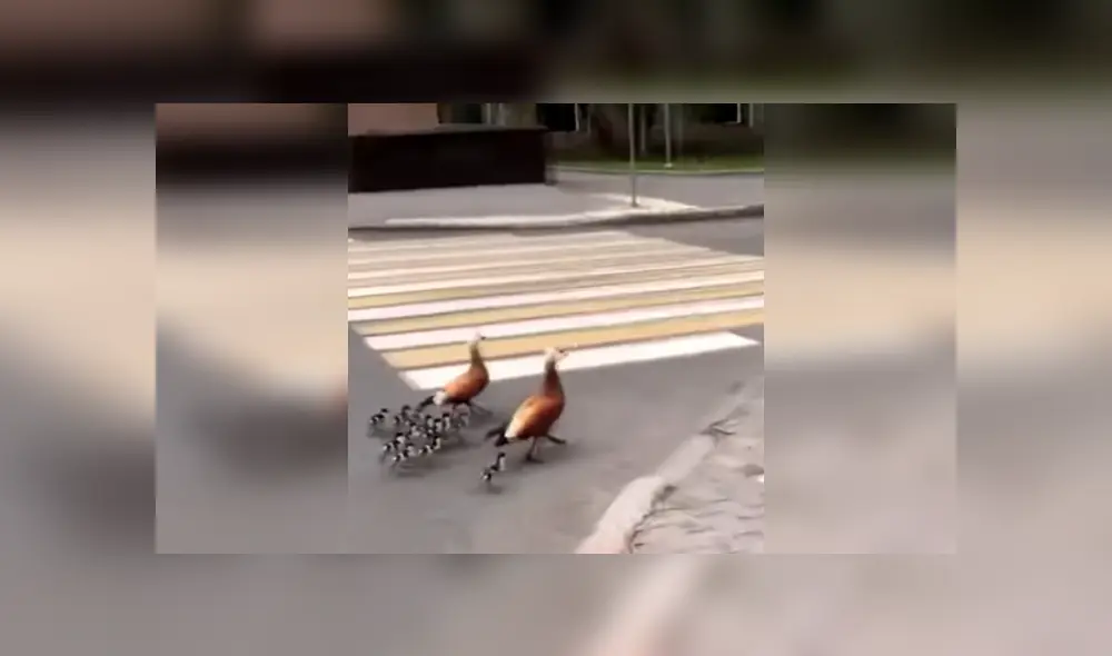 Desliza las imágenes para conocer más de esta escena que es viral en Facebook.