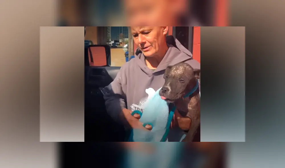 Desliza hacia la izquierda para ver el nuevo aspecto del perro callejero abandonado con sarna. Desliza hacia la izquierda para ver el nuevo aspecto del perro callejero abandonado con sarna.