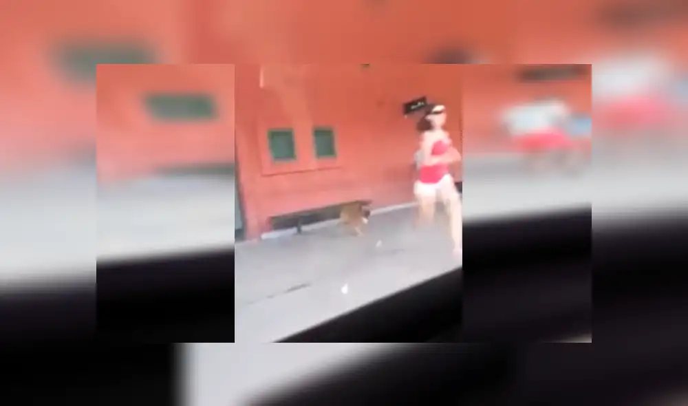 YouTube viral: mujer abandonó entre lágrimas a su perro en estación y es criticada en redes [VIDEO]