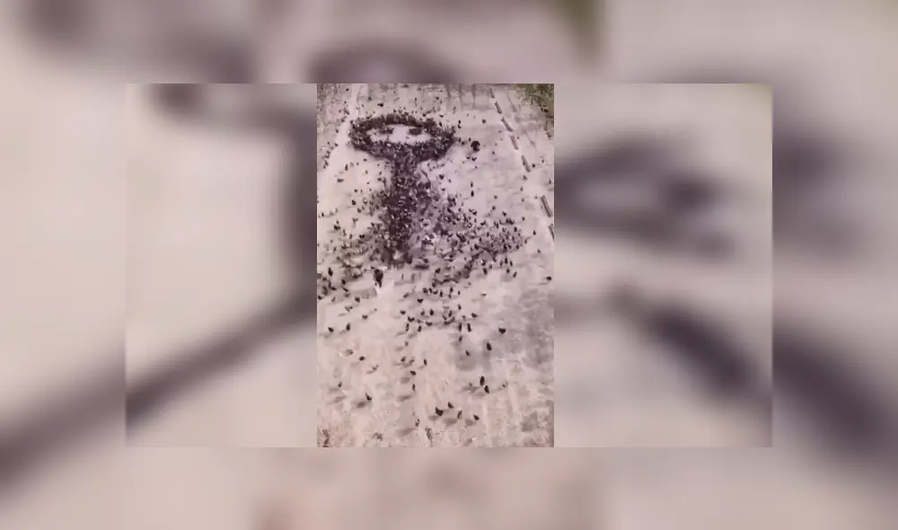 Desliza para ver los detalles del video viral publicado en YouTube. Foto: Captura. Desliza para ver los detalles del video viral publicado en YouTube. Foto: Captura.