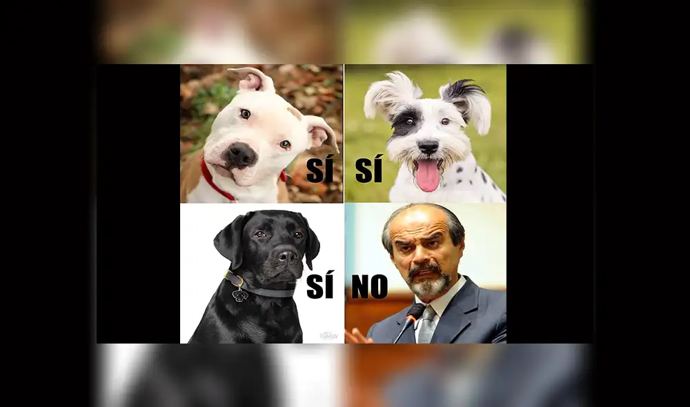 Referéndum 2018: divertidos memes creados por usuarios invaden Facebook [FOTOS]