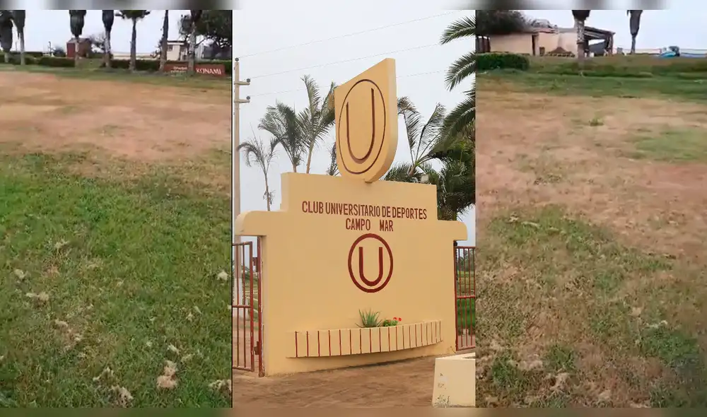 Universitario: video muestra el estado actual de una de las canchas de Campo Mar. Foto: La República/Captura Twitter Universitario: video muestra el estado actual de una de las canchas de Campo Mar. Foto: La República/Captura Twitter