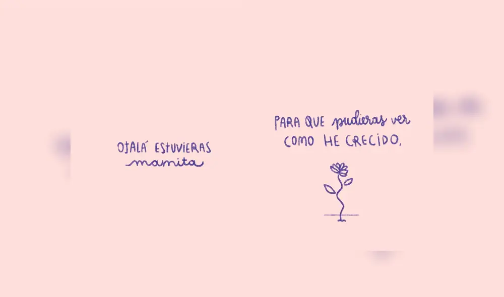 Desliza a la izquierda para ver el video que conmovió a los usuarios de Facebook. Foto: Captura Twitter.