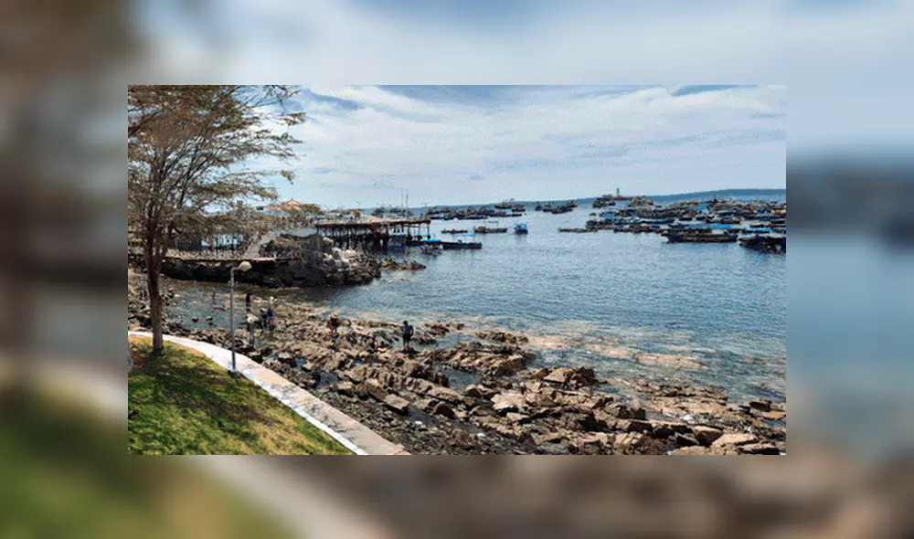 Google Maps: 'Extraña sirena' es hallada en orilla del mar de Moquegua y deja en impactado a miles [FOTOS]