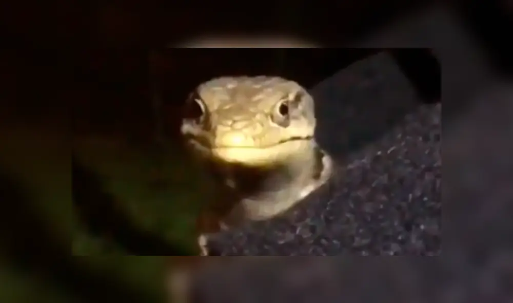 Desliza la imagen de Facebook para verlas todas. Desliza la imagen de Facebook para verlas todas.