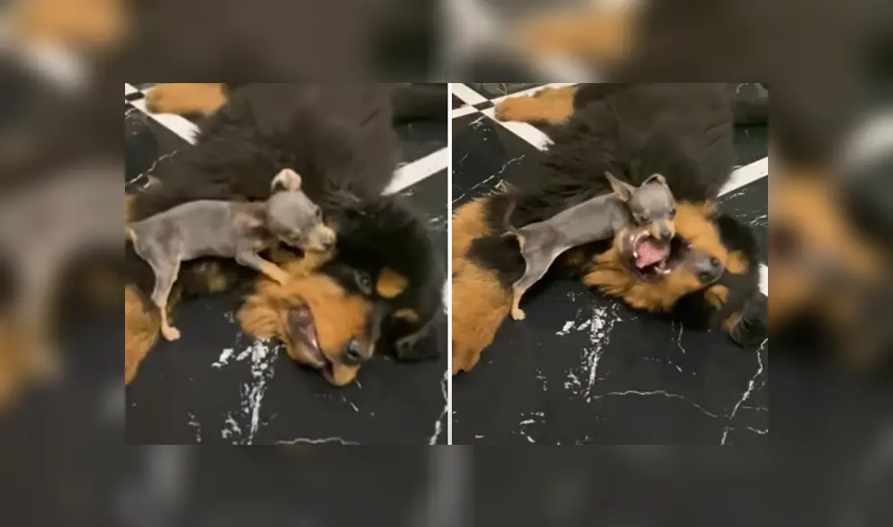 Desliza hacia la izquierda para ver las imágenes del video viral de YouTube. Desliza hacia la izquierda para ver las imágenes del video viral de YouTube.