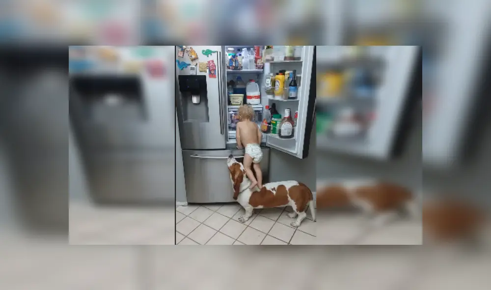 Desliza las imágenes para ver más detalles de esta escena que se volvió viral en Facebook.